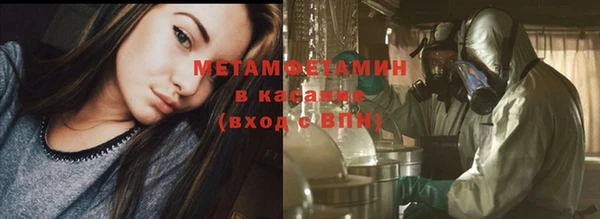 молекула духа Пересвет