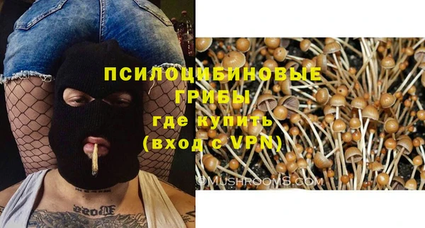 молекула духа Пересвет