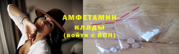молекула духа Пересвет