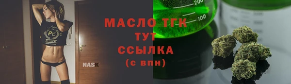 молекула духа Пересвет