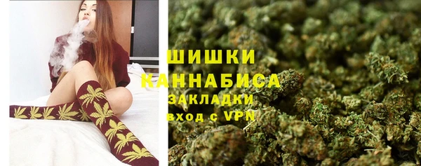 молекула духа Пересвет