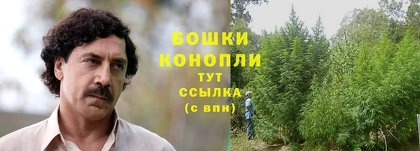эйфоретик Переславль-Залесский